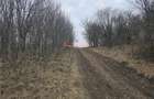 2 Terenuri de vanzare in Popesti Baciu 500m&Acirc;˛+ 2.030m&Acirc;˛/40&acirc;Ź m&Acirc;˛. - 1