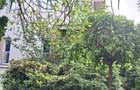Langa Parc Padurice, pentru locuit sau afacere - 39