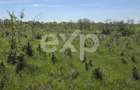 Teren 3015 mp Moșoaia | Zonă liniștită lângă pădure | Ideal casă | 16,9 €/mp - 3