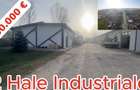 Hala Industriala 2019, Careiului nr. 11, Vetiș, Satu Mare 447355. - 3