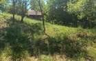 0 Comision Teren 1760 mp cu casa-Corusu, com Baciu, intravilan - 8