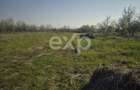 De vanzare teren la munte , in Rucar , zona Iezer Papusa, Arges, - 2