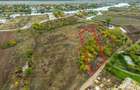 Teren 3000 mp în Snagov – zonă in dezvoltare, aproape de pădure - 7