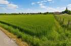 Teren intravilan, 5300 mp, Localitatea Vladimirescu, comision 0% - 2