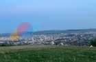 Teren extravilan 1100 mp, view deosebit, zona Lomb(Perlei) - 3