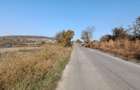 Teren extravilan 5,671mp Cluj-Napoca / Strada Lombului - 3