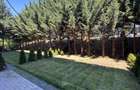 Apartament 2 camere si curte 50mp cartier Davinci Cristian - 3
