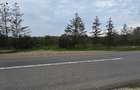 LIVADA  DE VANZARE FOCSANI-DUMBRAVITA  1,8  HA - 29