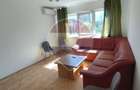 Apartament 3 camere, pet friendly, centrala gaz, Bulevardul Cetatii - 8
