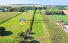 TEREN intravilan  6764 mp DRAGOMIREȘTI - VAD. - 3