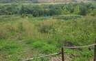 Vand teren intravilan,strada Budiului, 2 parcele,   total 5000 mp,neconstruibil. - 1