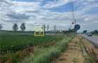 Teren intravilan, 8333 mp, la E85, comuna Secuienii Noi, jud. Neamt - 5
