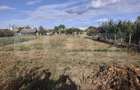Casa de vanzare in Sinicolau Roman cu teren generos de 1200mp - 12