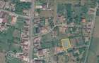 Teren intravilan pretabil pentru contructie, 1402 mp, comuna Siria - 4