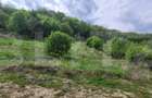 Investitie! Teren intravilan, 1252mp, Feleacu/Wonderland - 3