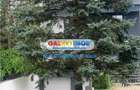 VILA DE LUX CU PONTOON SI BARCA | 5 CAMERE | 350MP | LAC SNAGOV - 23