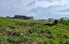 Paradisul Verde-Corbeanca,intravilan,10300mp,deschidere lac-120m,view deosebit - 6