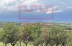 Teren Feleacu 2.800mp parcelabil 4 unitati utilitati asfalt panorama - 4