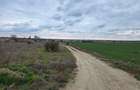 Loc Agigea / Judetul Cta /Teren intravilan 500 mp cu o deschidere stradala 16 ml - 13