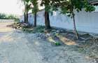Teren Industrial 4,300mp și Hală 1000mp de Vânzare în Tomesti - Iași - 6