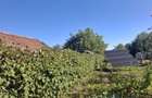 Casa individuala cu teren mare Versailles - Sibiu - 3
