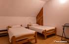 Oportunitate in Zorilor: casa spatioasa, curte mare si potential de investitie! - 4