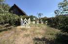 Casa rustica I 2corpuri I 1460mp teren I Porumbacu de jos - 25