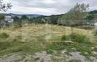 Teren intravilan 1.600 mp - Valea Budacului  -zona rezidentiala - 4