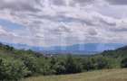 Teren, zona Gusterita , 28.800 mp