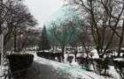 3 camere " LA CHEIE" cu vedere catre Parcul Plumbuita - 19