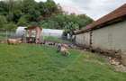 Vanzare casa  4 camere-microferma, cu panouri fotovoltaice - 23
