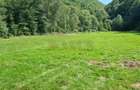 Teren intravilan, cf, zona Valea Ierii - 2
