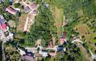 Teren 4.173 mp, front 60 m – Văliug, aproape de Lacul Gozna - 5