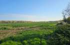 10.100mp TEREN CONSTRUCȚII INTRAVILAN POTIGRAFU, DESCHIDERE 31m direct la DN1 - 2