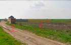 Teren intravilan de vanzare - 10.000 mp, Adunatii-Copaceni, Strada Troitei, jude - 2
