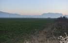 Vând teren intravilan  excelent pentru constructii industriale  în Codlea - 3