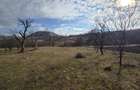 Teren intravilan, 3800 mp, ideal investitie - zona turistica , Moigrad - 6