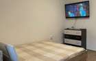 Apartament cu 1 camera in Alexandru cel Bun - 3