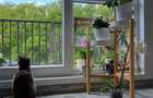 Apartament 3 camere - centrala proprie - Parc Mogosoaia - 3