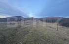 Casa de vanzare, cu 5 camere, 460 mp+teren 5800 mp, 10 km de Bistrita