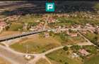 Teren intravilan 10.000 mp. în Pauliș - 7