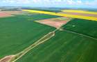 Teren intravilan PUZ zona Frumusani - aproape de Bucuresti si A0. Natura.Liniste - 3