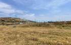 Teren intravilan 500mp, Betfia, Bihor - 2