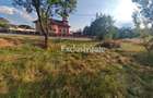 Teren intravilan 1.600 mp Mioveni – Zona Pruni - 4