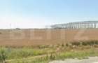 Teren intravilan, 18.802 mp, zona Carcea - 1