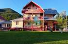 Pensiune / Casă de vacanță de vânzare în Lepșa, - 2
