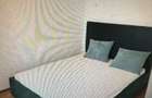 TOMIS NORD-3 CAMERE SEMIDECOMANDAT-FOARTE COCHET - 2