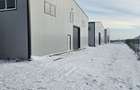 Hale noi 2026 AFUMATI ( Moara Domneasca ) 2300 Euro - 3