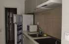 Apartament 1 camera Pet Friendly Calea Motilor - 7