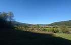 5,6 ha terenuri si padure in Criscior - 8